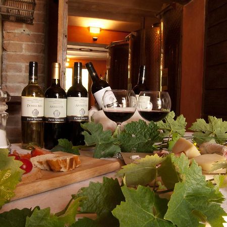 Agriturismo Pieve Sprenna Buonconvento Kültér fotó