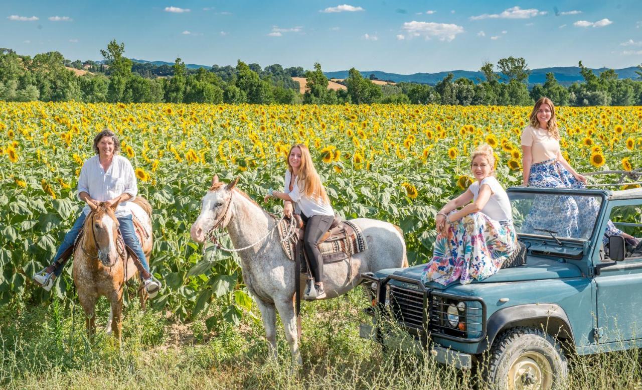 Agriturismo Pieve Sprenna Buonconvento Kültér fotó