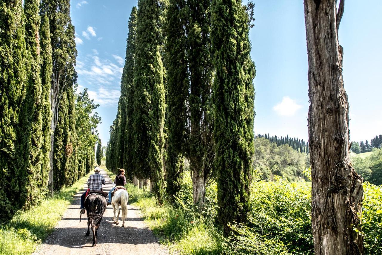 Agriturismo Pieve Sprenna Buonconvento Kültér fotó