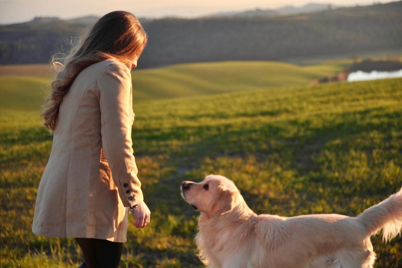 Agriturismo Pieve Sprenna Buonconvento Kültér fotó